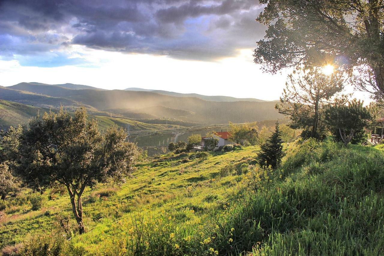 Cielo Abierto Διαμέρισμα Berzocana Εξωτερικό φωτογραφία