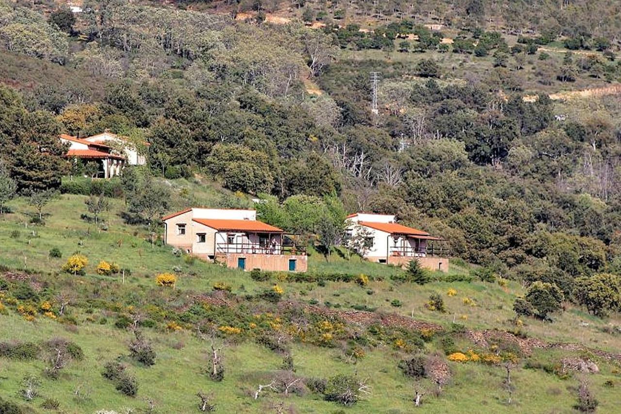Cielo Abierto Διαμέρισμα Berzocana Εξωτερικό φωτογραφία
