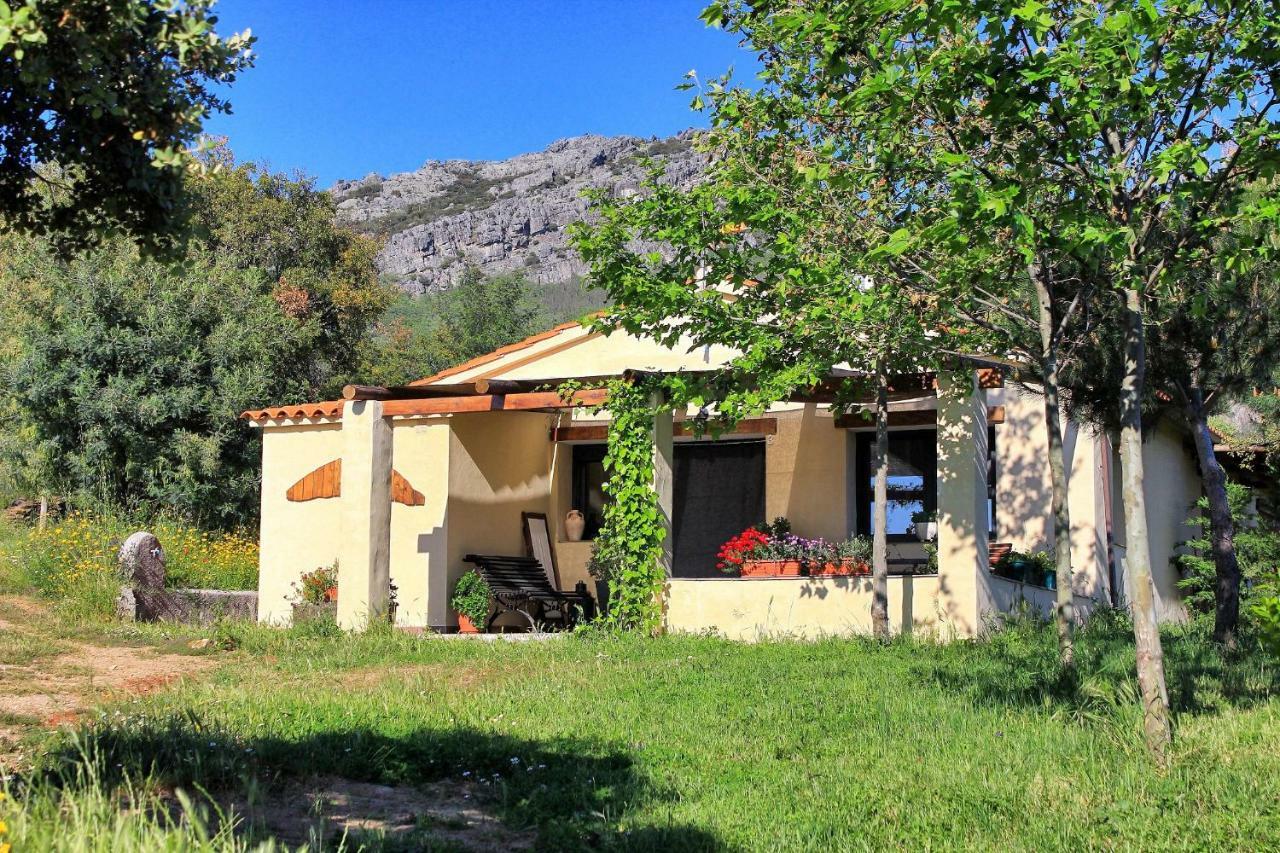 Cielo Abierto Διαμέρισμα Berzocana Εξωτερικό φωτογραφία